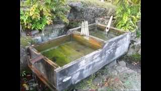 【JapaneseOldTown小京都】郡上八幡バーチャル散策①宗祇水～中河原公園付近