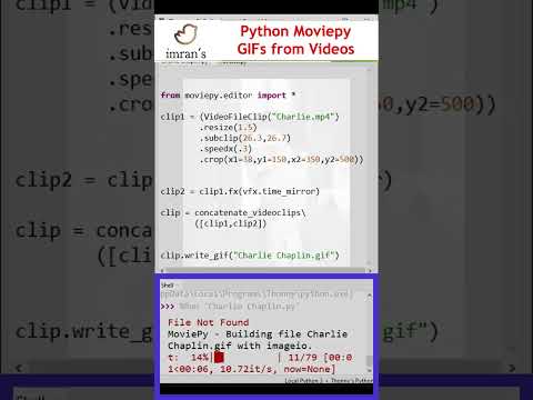 Python Moviepy | Make GIFs from Video