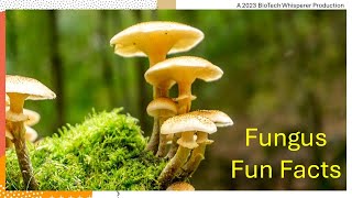 Fungi Fun Facts - Explained in 6 Minutes