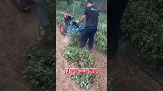 Amazing Farming Machine in Action 🚜💥 | JUST KD Agriculture | Part 409
