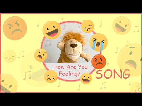 How Are You Feeling? Song