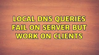 Local DNS queries fail on server but work on clients