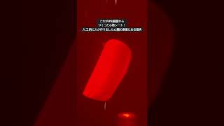 【8秒の知見】iPS細胞から作った心筋シート|大阪・関西万博のパソナ館