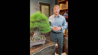 Rooted In Value - Ep 2 #businesswisdom #business #businesstransition #exitplanning #businessvalue