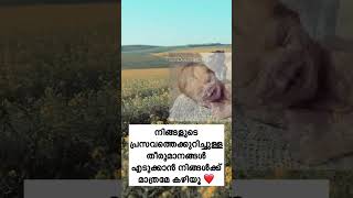 ആദ്യമായി ഗർഭിണിയാവുന്നവർ പ്രസവത്തെക്കുറിച് അറിഞ്ഞിരിക്കേണ്ട കാര്യങ്ങൾ💯#shorts #malayalam #pregnancy