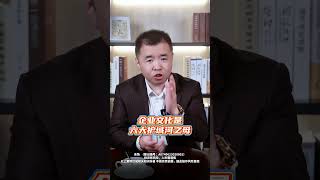 企业六大护城河（一）——企业文化 #热点 #股民 #投资者教育