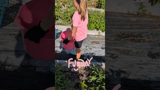 Garden Fun 🪻🌞 #kidgardener #kidshorts #gardening #kidsfun #kids #forkids #madeforkids #funkids