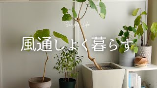 模様替え｜セリア購入品で小さなストレス解消｜日々淡々と暮らしと自分を整える