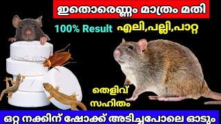 ഒരെണ്ണം മതി തെളിവ് സഹിതം നിങ്ങൾക്ക് കാണാം,എലി പല്ലി പാറ്റ വീട് വിട്ട് ഓടും|Powerful rat repellent