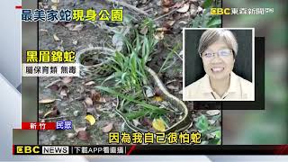 新竹孩童在公園驚見大蛇 是保育類「黑眉錦蛇」@newsebc