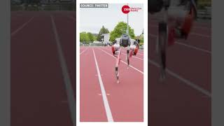 Watch: Robot runs 100 meters in 24.73 seconds, breaks Guinness World Record #shorts #guinnessworld