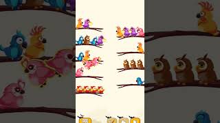 #viralvideos #games #gaming #jigsawpuzzlecollection #viralvideos #puzzle #collection #birds