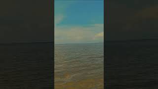 Calm and relaxing nature vibe/Peaceful River Flow #natureshortsviral #RiverVibes #naturelovers