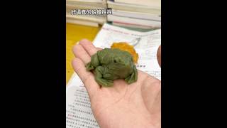 这个青蛙捏捏简直不要太逼真哈哈哈#捏捏乐 #整蛊 #玩个很新的东西 #解压玩具 #toys