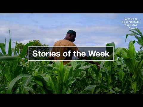 How AI Has Advanced Healthcare & Start-Up Empowers Millions of Farmers | WEF | Top Stories Week
