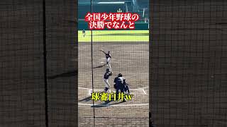 【まさかのw】全国少年野球の決勝で球審を担当する白井一行　#shorts #球審白井　#白井一行 #白井コール