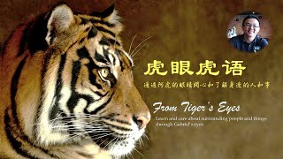 今晚9点半直播。。你想我分享些什么？除了政治，我都喜欢谈。
