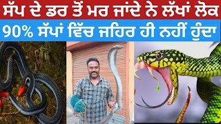 ਜੇ ਸੱਪ ਮਰ ਜਾਵੇ ਤਾਂ ਸਪਣੀ ਲੈਂਦੀ ਹੈ ਬਦਲਾ #story#trendingtrending
