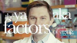 Yamanaka Factors and Sirtuins For Aging | Harvard's David Sinclair PhD