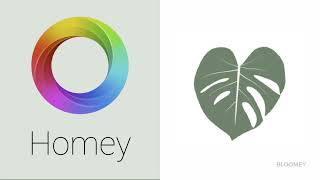 UX UI project Bloomey