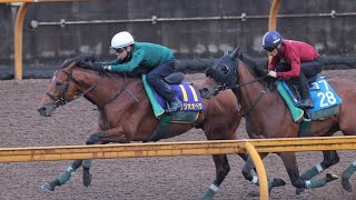 【宝塚記念　1週前追い切り】ベラジオオペラはCWで3頭併せ　上村師「時計も出ているし思い通り」