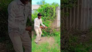 💥##rabel star prabhass##🪻simaran##ytshorts##golden hit##trending##song##🔥💐💯