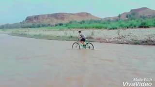 Hamid show