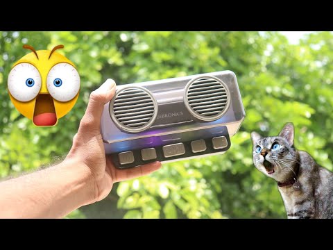 Best RGB Speaker For Gamers ft ZEBRONICS Music Bomb 20 With Mechanical Switches [ Hindi ]