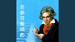 田园奏鸣曲 贝多芬 第三乐章