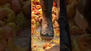 देखिए काजू कैसे बनता है | How Kaju Are Made | Cashew Making Process #shorts