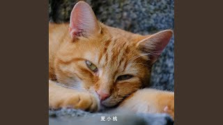 舒壓的旋律（輕音樂）