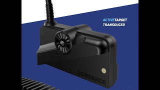 Lowrance Active Target Transducer - Visual/Look/Feel