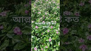 নফল ইবাদত করতে হবে। #trending #ytshorts #azhari #islamicvideo