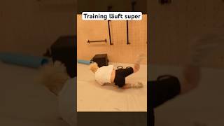 Papaplattes Training mit Rewi läuft super #papaplatte