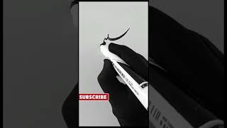 Shabnam name in Urdu #shorts #youtubeshorts #calligraphymasters #urducalligraphy #writeurdu