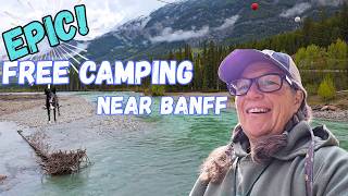 SADIE meets a BEAR!!!  And a GORGEOUS Drive through the Candian Rockies
