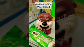 maddog eating Milo Dipped asmr satisfying #viralvideo#youtubeshorts#shorts#trending