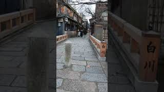 【ショート動画】京都祇園の観光スポット（巽橋、辰巳神社、祇園白川） #shorts