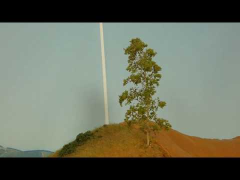 Layout Update: Supertrees, benchwork, hills, plastering