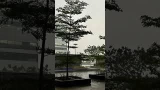 #mindfulness #rain #calmvibes #relaxingmusic #meditationmusic