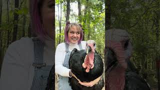 Another episode of turkey burping! #farmlife #burp #funny #turkey #funnyvideo #shorts #animals