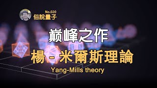 【俗說量子】對稱性展現數學之美，楊振寧奠基粒子物理！Yang-Mills Theory | Linvo說宇宙