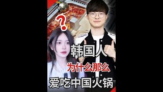 #零基础看懂全球#硬核深度计划#理性看世界#火锅#韩国