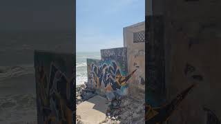 Street Art Mui Ne Vietnam 🇻🇳 #vietnam #mũiné #muine #views #murals  #beach #streetart #tetvietnam