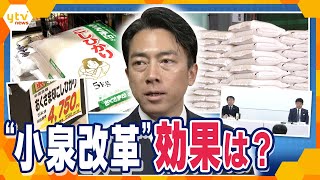 農政改革でコメ平均3000円台もまだまだ高い銘柄米、コメの価格はどうなる？　”小泉改革”の効果は？【かんさい情報ネット ten.特集】