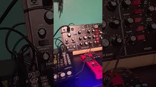 Terrible Execution #behringerproton #rolandtr6s #synth #cre8audio #westpest #behringermodeld