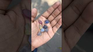 Biggest Gemstone Market Of Ceylon #ceylongems #bluesapphire #pooragems #india #usa #uk #uae