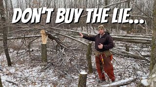 TSI & HINGE CUT BEDDING COMBO (PART 2): Making sense of it all after the trees hit the ground!