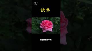 快樂 #中老年心語#養老 #情感故事 #為人處世