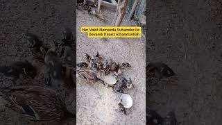 Her Namazda Subaneke İle Devamlı Kılarız #keşfet #kesfeteyyiz #youtubeshorts #öneçıkar #keşfet